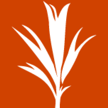 Development Seed logo