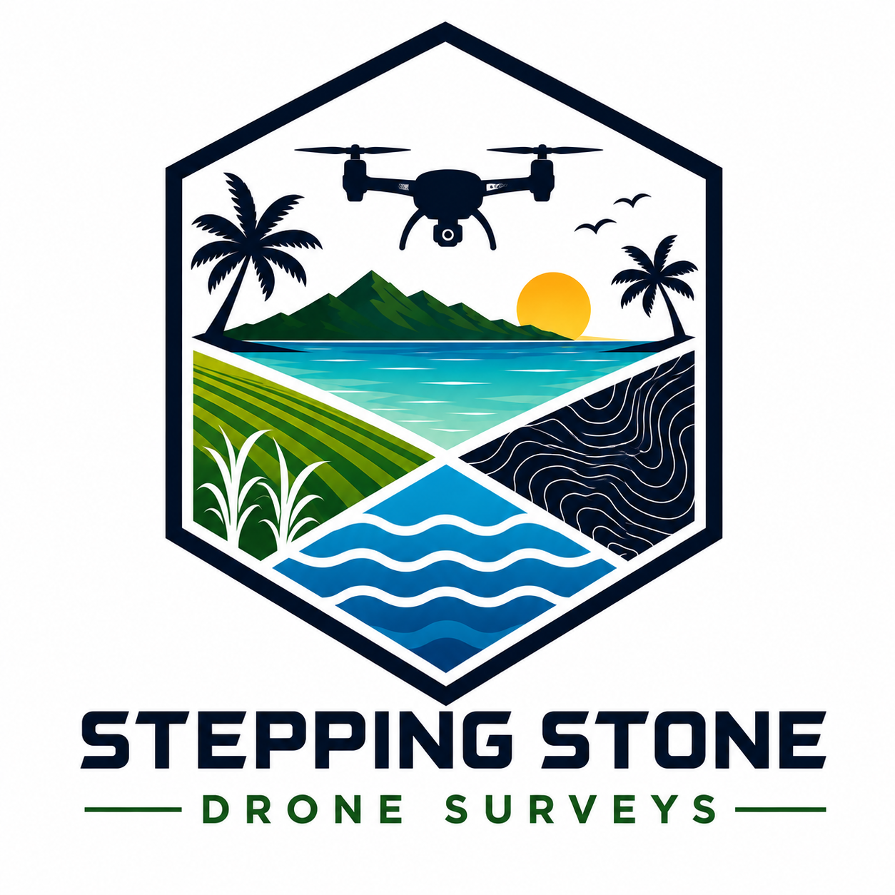 Stepping Stone Drone Surveys logo